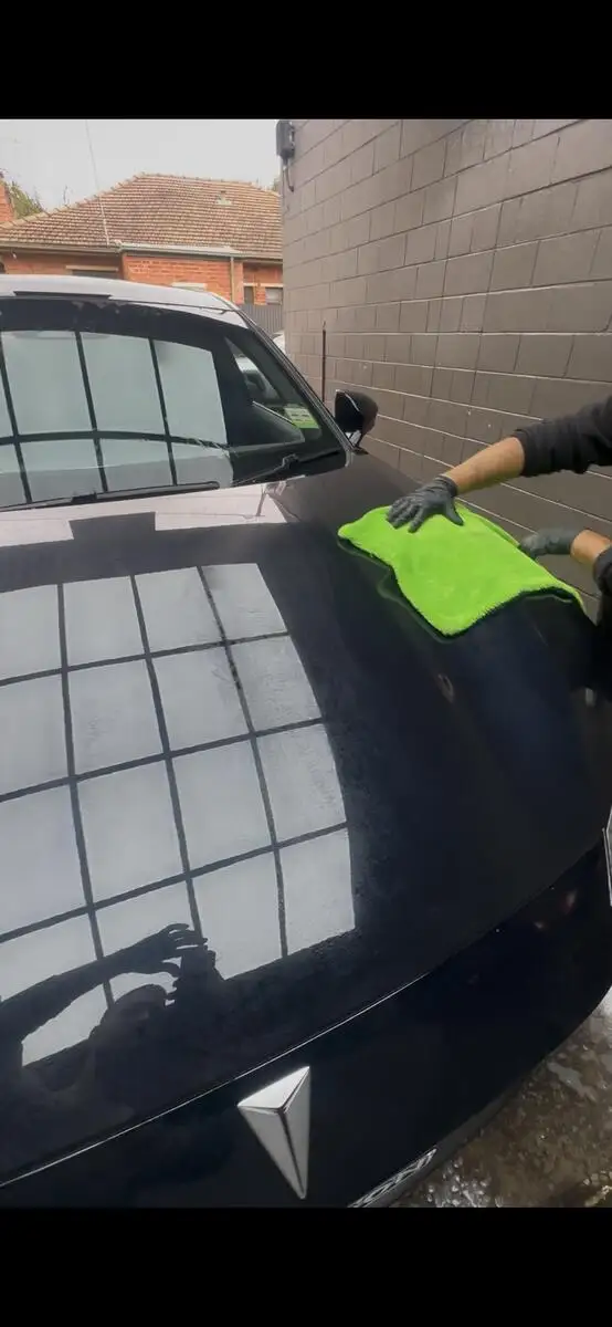 Paint Protection